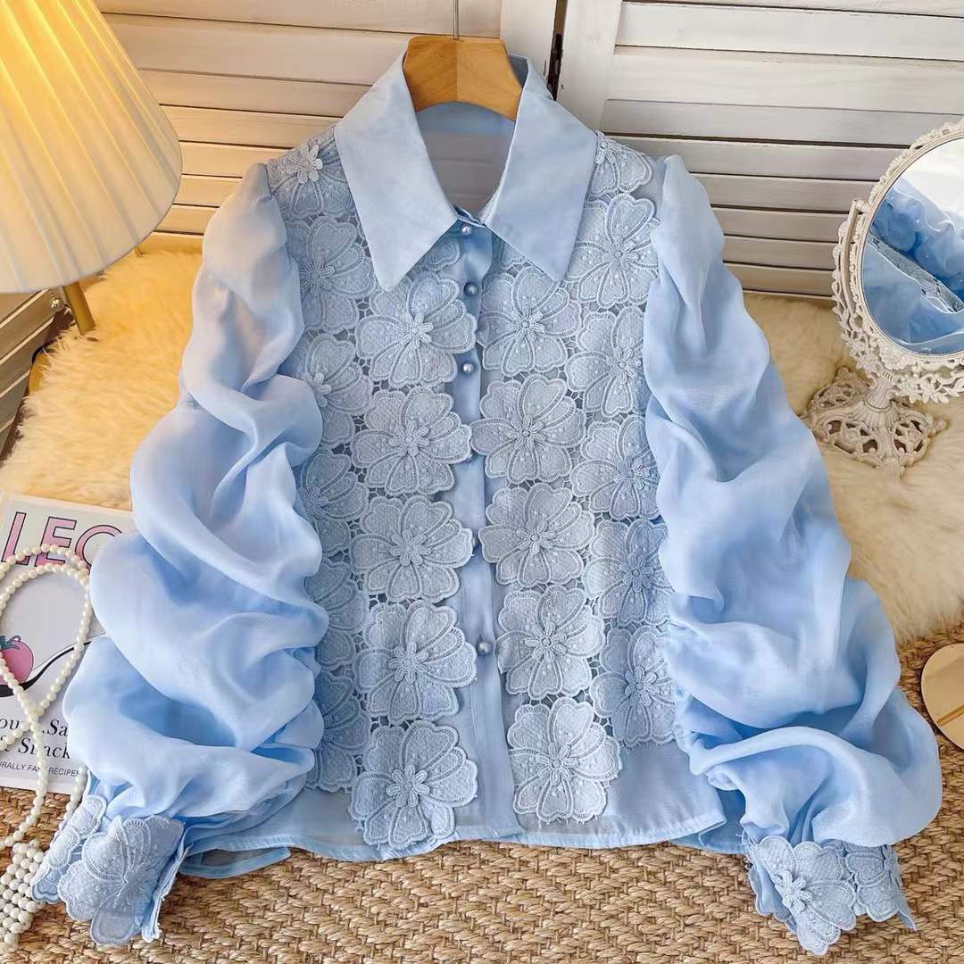 Elegant Sheer Sleeve Embroidered top
