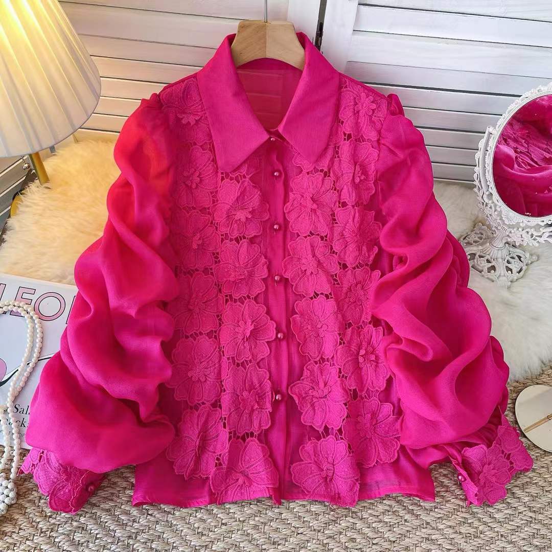 Elegant Sheer Sleeve Embroidered top