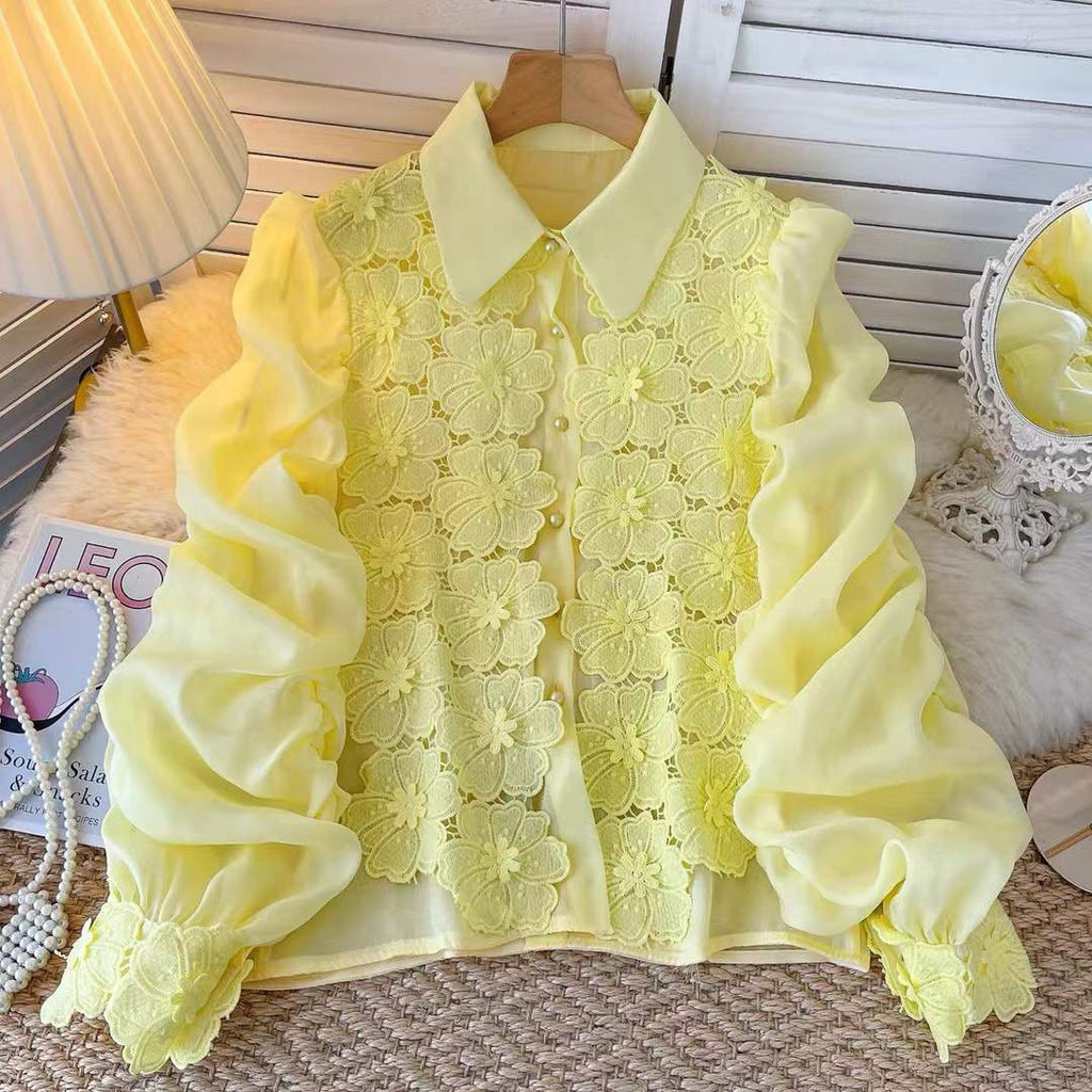 Elegant Sheer Sleeve Embroidered top
